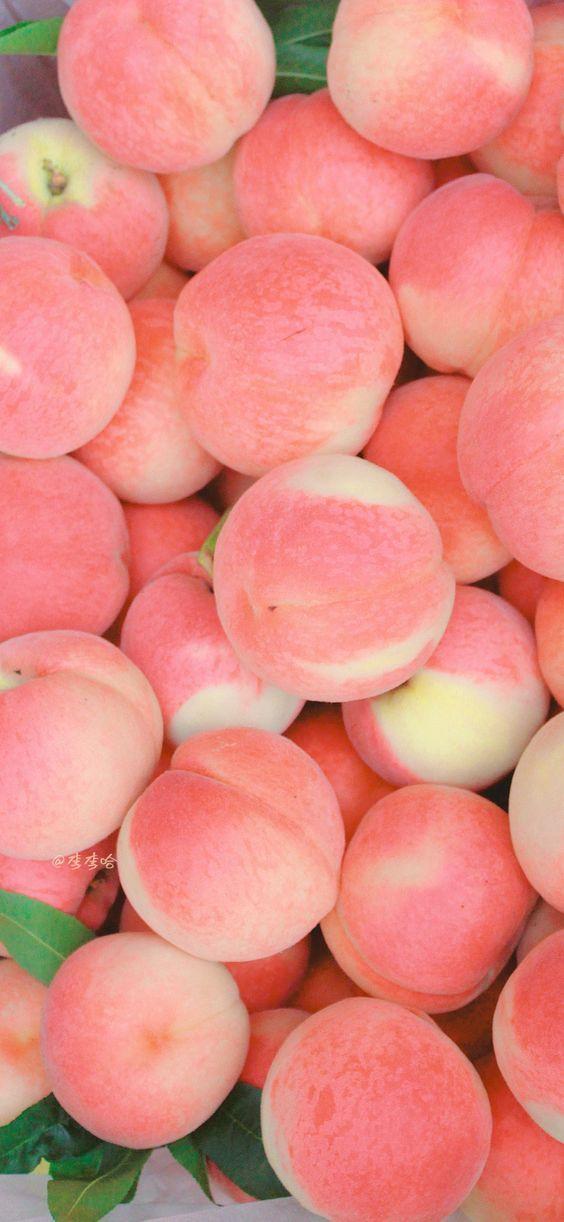 Orchard's Embrace: Nature's Palette Sampler